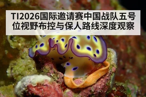 TI2026国际邀请赛中国战队五号位视野布控与保人路线深度观察